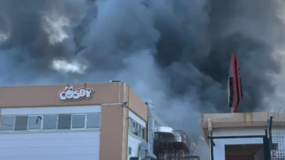 Yanan şekerleme fabrikasına 5 milyon dolar sigorta; Kervan Gıda açıkladı