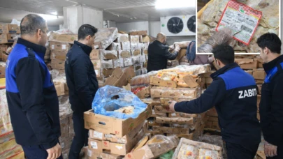 50 ton bozuk tavuk halka yedirilecekti; 1,5 yıllık tavuklar..