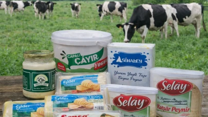 Peynire bitkisel yağ, yoğurda nişasta: 22 firma ve 29 marka ifşa oldu