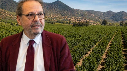 Balsu'dan Şili'de fındık tesisi açıklaması