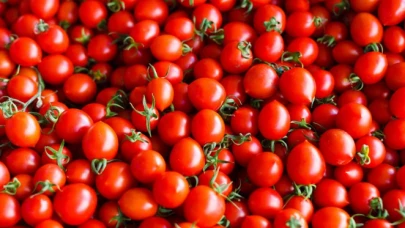 Türkiye’den giden domateslere sınırda imha