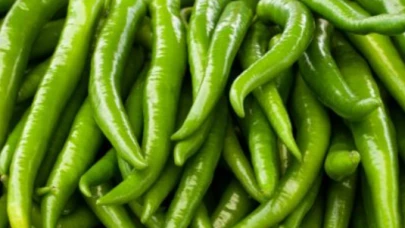 Reçeteli tarım zehri Avrupa'ya giden biberde çıktı!