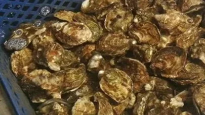 Midyede toksin alarmı! Üretim durduruldu, satışlar yasaklandı
