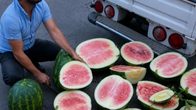 Karpuzun tadı neden kabağa döndü; Aşılı karpuz ne demek?