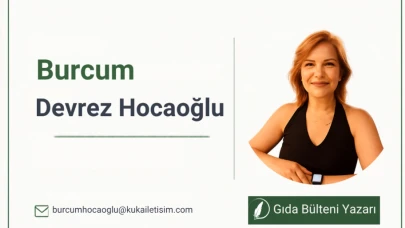 İklim krizi çikolatayı değiştirmeye başladı; Kakaosuz çikolataya doğru..