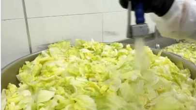 Marul nasıl yıkanır? Bakteri riskini azaltan en etkili yöntem hangisi?