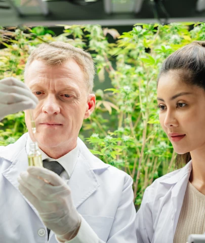 Dünyanın en sağlıklı sebzesi seçildi