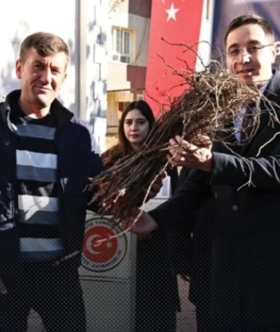 Çiftçilere 5 bin 250 üzüm fidesi hibe edildi