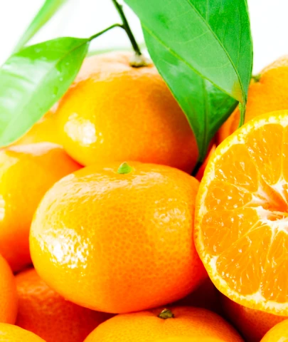 Yarısından çoğunu Ruslar yiyor; beklenti 125 milyon dolar