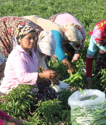 Kadın Çiftçiler Günü'nde kara tablo..