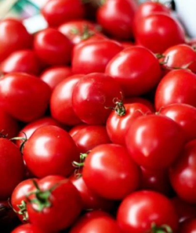 Dikkat: Zehirli domatesler geri gönderildi