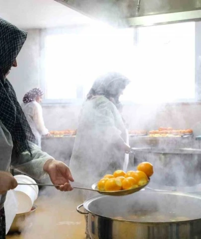 Nilüfer'de çiftçiyi kalkındıracak örnek proje