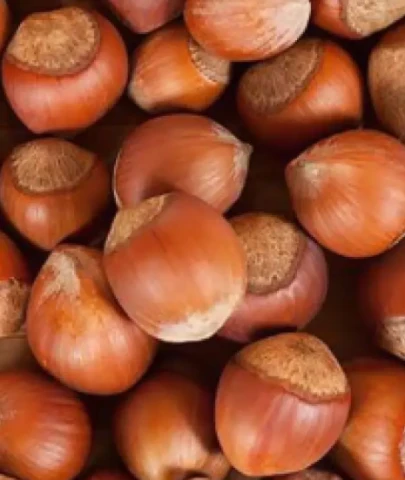 Fındık alımında Ferrero'nun istediği oldu