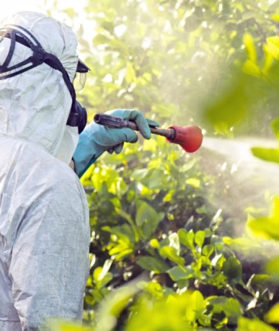 Bakanlık pestisit denetim sonuçlarını açıklayacak mı?