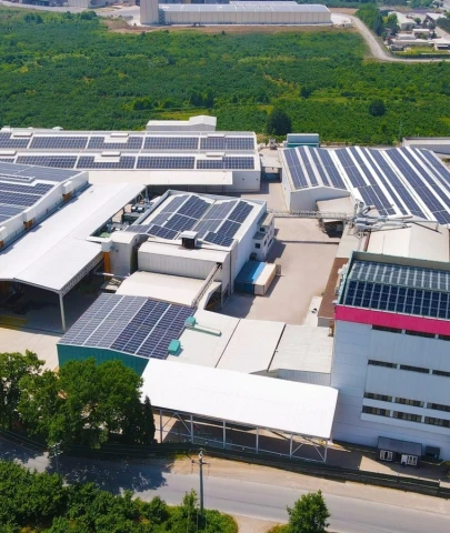 Balsu Gıda, ABD'li sağlıklı atıştırmalık markasının ortağı oldu