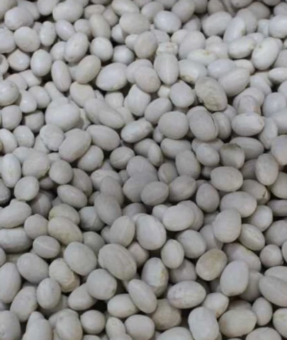 Coğrafi yaratıcılık: İspir fasulyesinden sushi