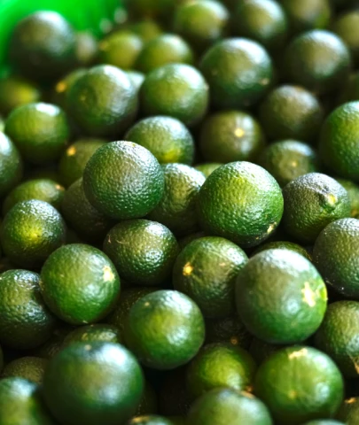 Bodrum mandalinasında yeni hedef