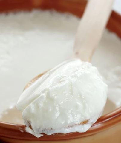 Türkiye’nin ilk yoğurt müzesi dünyaya tanıtılıyor