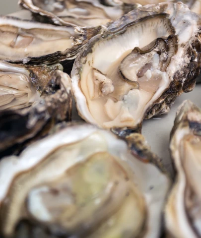 Et yiyen bakteri 6 kişiyi öldürdü.. İstiridye ve midye riskli!