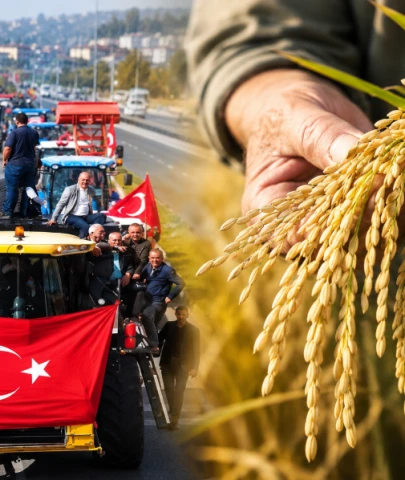 Çeltik alım fiyatı belli oldu; Üretici 55 TL istemişti TMO daha düşük fiyat açıkladı