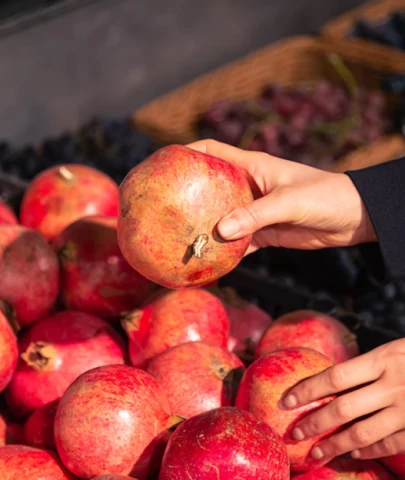 Narda öldüren zehir; 30 kat yüksek çıktı