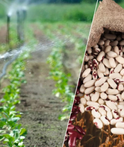 Tarım desteği için icmal itirazlarına dikkat