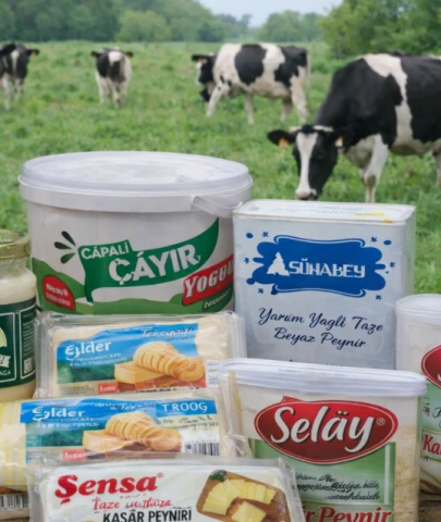 Peynire bitkisel yağ, yoğurda nişasta: 22 firma ve 29 marka ifşa oldu