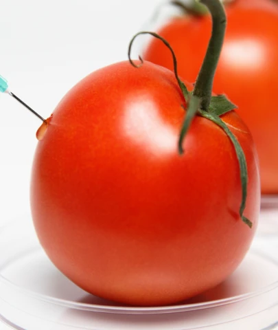 Domateslere pestisit denetimi; sonuçlar şaşırtıcı