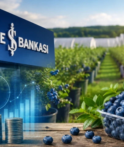 İş Bankası’ndan yaban mersinine büyük yatırım