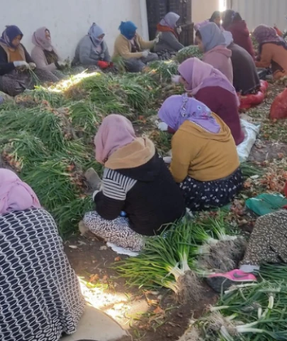 Dünya Çiftçiler Günü'nde çarpıcı tablo: Yol parası bile yok!