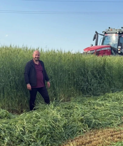 Arpanın boyu çiftçiyi aştı; Yağmur bereketinin fotoğrafı