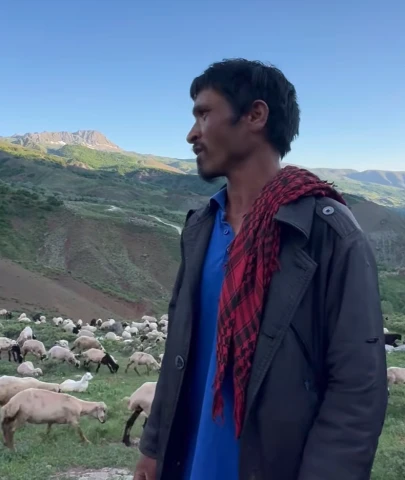 Yasal "ithal çoban" dönemi: İŞKUR aracılığıyla yurt dışından çoban getirilecek
