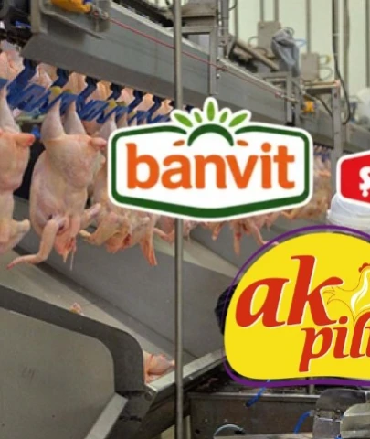 Denetim kayyumuna mahkemeden ret; 4 piliç firmasına kayyum atanmıyor