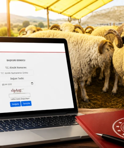 Kırsalda Bereket sonuçları açıklandı! 100 koyun desteğinde adı çıkanlar ne yapacak?