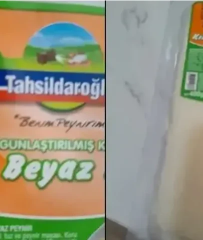 Tahsildaroğlu peynirde bakteri alarmı; Listeria hangi üründe saptandı?