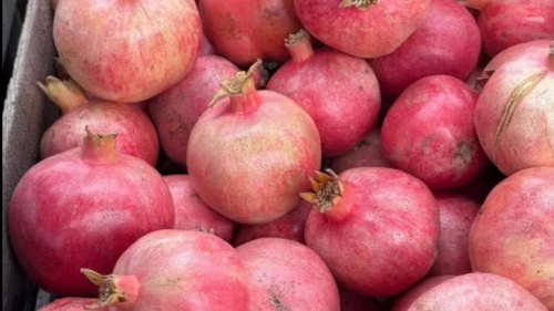 Narda zehir bildirimleri artıyor.. Türk narı yine pestisit engeline takıldı