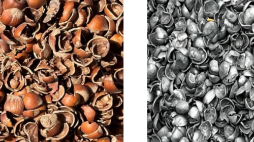 Balsu Gıda fındık kabuğundan aktif karbon üretimine başlıyor