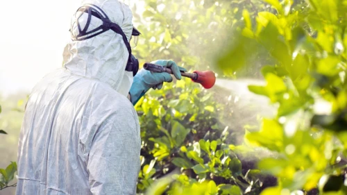 Bakanlık pestisit denetim sonuçlarını açıklayacak mı?