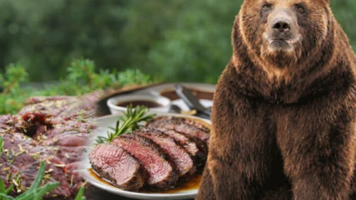 Japonya'da yeni akım: İnsanlara saldıran ayıları yiyorlar