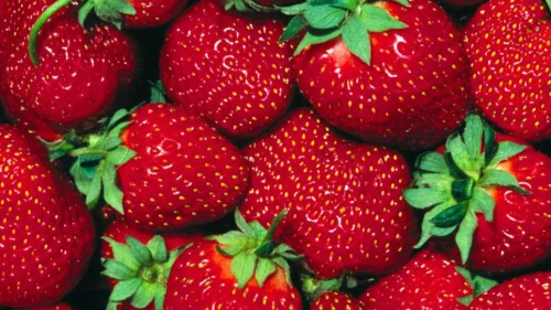 Mısır dondurulmuş çilekte vites yükseltti: Türkiye’nin güçlü olduğu alanda sessiz rakip büyüyor