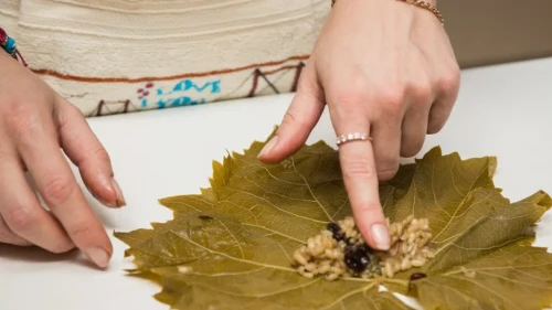 Ya bu yaprakları yediysek; Bu sonuçlar dolma yemeyi bıraktırır