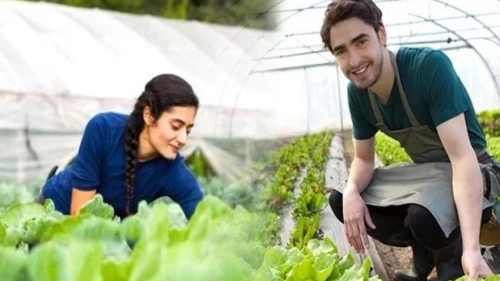 Genç çiftçi destekleri neler?