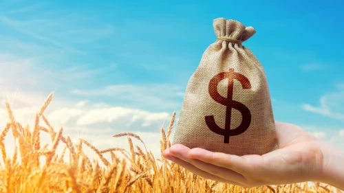 Tarım, gıda ve içecek sektöründen ilk 4 ayda 9,22 milyar dolarlık ihracat