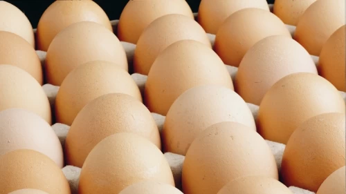 Yumurtada 1,5 dolarlık kesinti sona erdi