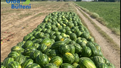 Yok böyle bir fiyat farkı.. Meyve sebze tarlada ne kadar tezgahta ne kadar?