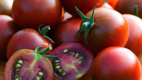 Avrupa’ya gönderilen cherry domateslerde yasaklı pestisit şoku