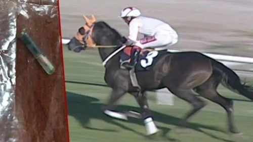 Halka at eti yediren firma cemaatin şirketiymiş!