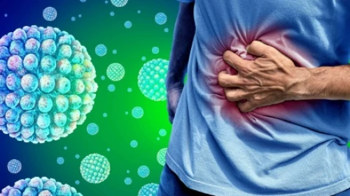 En pahalı bakteri; Salmonella..