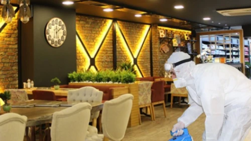 Fare ve hamamböcekleri yüzünden yüzlerce işletme kapatıldı!