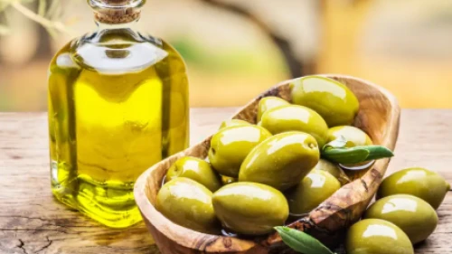 Antalya'da sızma zeytinyağı yarışması